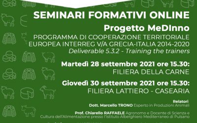 Online Training and Standardization Seminars | UPI Puglia